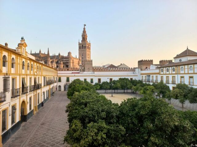 Ayer finalizamos la primera semana de febrero con la visita del Excmo. Sr. Embajador de China, recibido por el Alcalde y Presidente del Patronato D. José Luis Sanz. Hoy empezamos una nueva semana cargada de visitas, eventos, y una luz tan especial como nuestro Patio de Banderas. Real Alcázar de Sevilla #sevilla #andalucia #spain #españa #jardines #gardens #heritage #patrimonio #arte #culture #viajar #travel